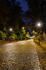 Paved pathway illuminated by streetlights in autumn park at dusk, surrounded by trees with colorful fallen leaves. Serene evening outdoor scene for calm mood.