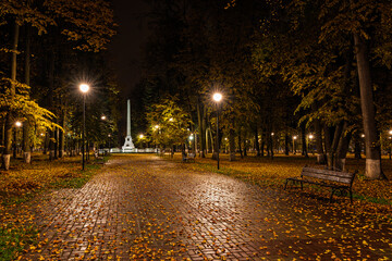 Paved pathway illuminated by streetlights in autumn park at dusk, surrounded by trees with colorful fallen leaves. Serene evening outdoor scene for calm mood.