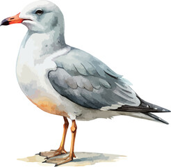 Ocean Seagull Bird &ndash; Classic Watercolor Vector Illustration