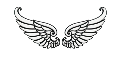 Stylized White and Black Angel Wings