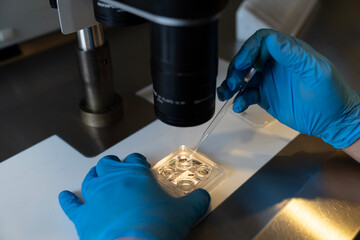 Embriologist putting sperm sample to examine under microscope or collecting in vitro cultured embryos for biopsy. Reproductive medicine clinic. Artificial insemination. Artificial conception clinic.