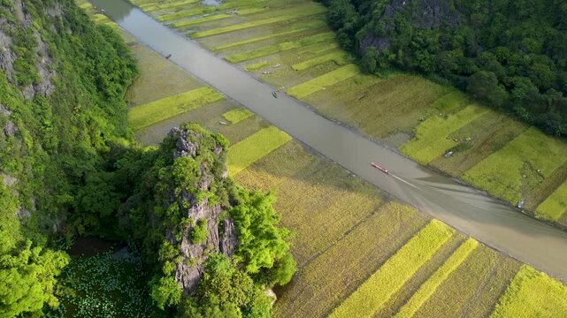 Aerial view of rice paddies and rural landscape, Ninh Binh, Vietnam