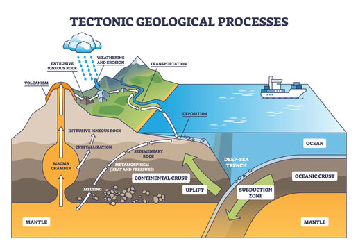 Tectonic geology processes schematic showing plate subduction, magma chamber, and uplift, arrows map rock cycle from erosion to volcanism. Outline diagram