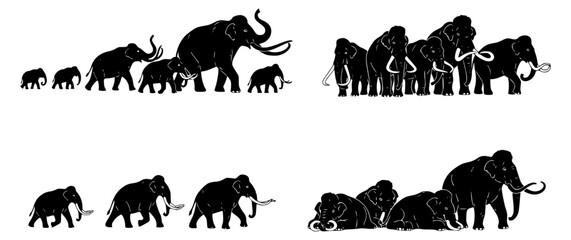Diverse silhouettes of majestic mammoths and powerful elephants, illustrating growth, family units, and herd dynamics in a stylized wildlife graphic collection