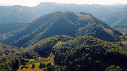 Tranquil sunny summer landscape with green fields and hills.
