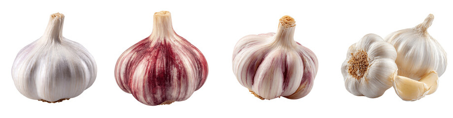 Set of fresh garlic bulbs, whole white and purple garlic heads with cloves, organic culinary spice and ingredient, PNG, transparent background