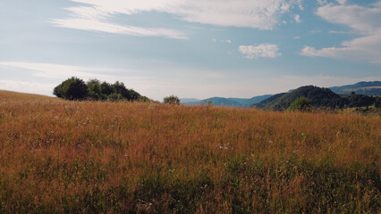Tranquil sunny summer landscape with green fields and hills.