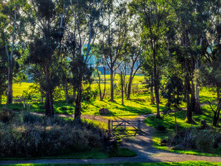 Nice Pastoral Scene Against The Sun