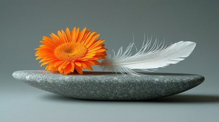 A vibrant orange flower and a white feather rest on a smooth, gray stone