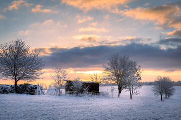 Winterlandschaft - Feld - Abendrot 