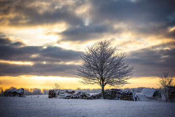 Winterlandschaft - Feld - Abendrot 