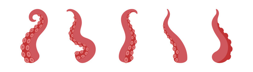 Squid tentacles with suction cups. Set of octopus arms for nautical, fantasy monster and underwater illustration themes © Lifeking