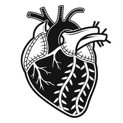 Stylized black and white illustration of a human heart featuring decorative organic leaf vein patterns suggesting life and vitality