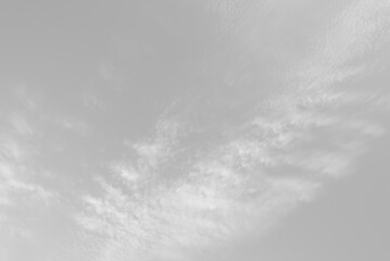 Black and white cloudy sky. Windy sky