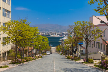 北海道函館2025春-八幡坂-