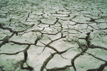 Cracked and dried mud in an empty dam, climate change image