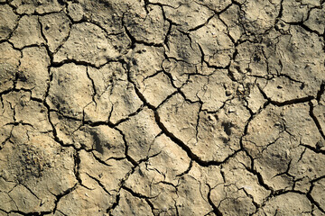 Cracked and dried mud in an empty dam, climate change image