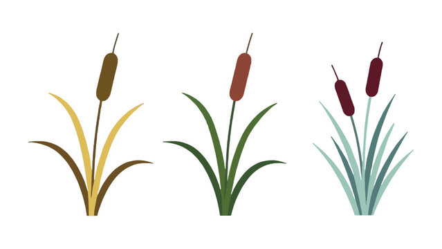An illustration of cattail plants in various colors on a white background