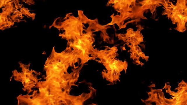 Dynamic flames dance against a stark black background, creating a mesmerizing and intense visual effect.