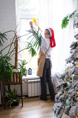 Woman in a Santa hat and apron cleans window near Christmas tree, preparing for the New Year, decorating and tidying up the house