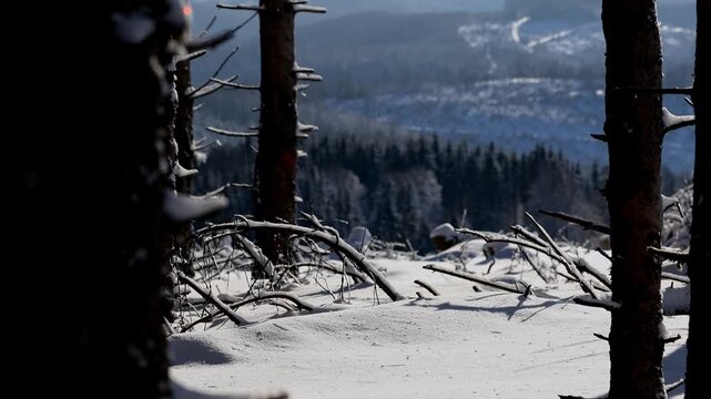 beatiful nature in winter 4k 25fps video