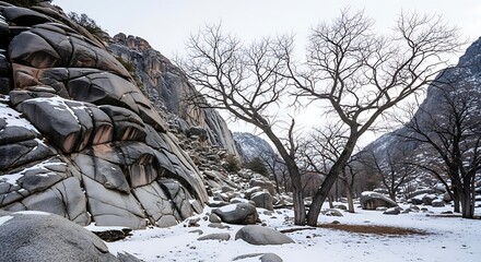 Snowy Mountain Landscape with Bare Trees Rocks.