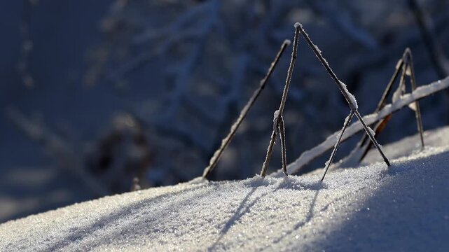 beatiful nature in winter 4k 25fps video