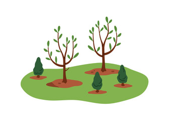 Tree saplings growth in park nature. Little young plants on green lawn, grass, spring environment. Reforestation concept. Outdoor landscape. Flat vector illustration isolated on white background