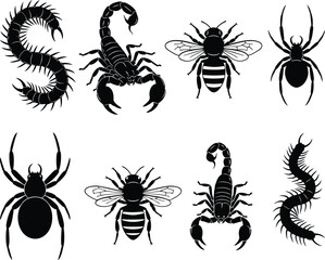Obraz premium Collection of insect and arachnid silhouettes including centipedes, scorpions, bees, and spiders for biology studies