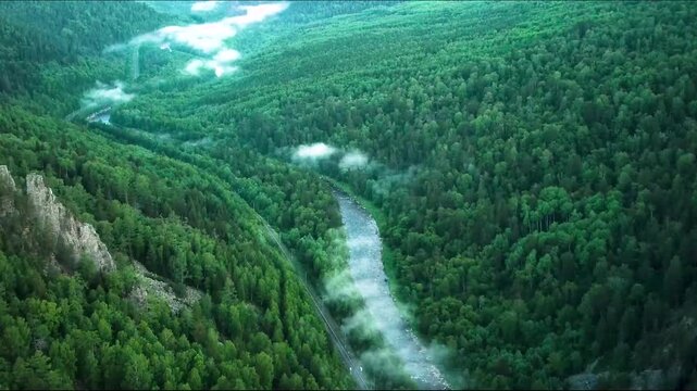 Trees in the mountains, tree in the forest, trees in the forest, A drone flying over a lush green forest, capturing an aerial view of a winding river cutting through dense foliage. The river is surrou