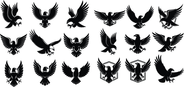 Set of powerful eagle bird silhouettes ideal for heraldry symbols or sport team mascots