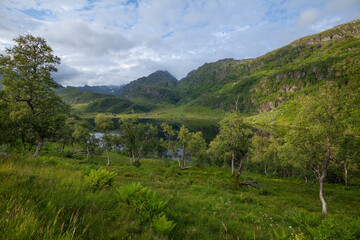 Fototapete bei efototapeten.de bestellen   