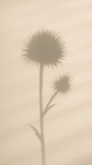 Fototapeta premium Minimalist floral shadow mobile wallpaper