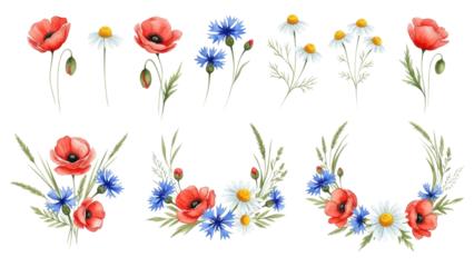 Beautiful floral set with watercolor hand drawn summer wild field flowers. Stock illustration. Clip art.