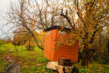 Old Garden in a Village in Late Autumn