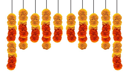 Marigold hanging flowers decorative design element for hindu festivals