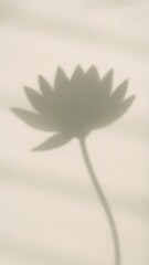 Fototapeta premium Elegant floral shadow art mobile wallpaper