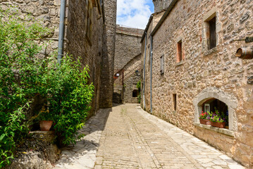 Fototapeta premium Quiet cobblestone alley in La Couvertoirade lined with rustic stone houses, lush green plants, and a window box of colorful flowers under bright daylight.