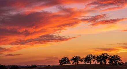 Golden Hour Sunset, Glowing Clouds & Silhouetted Trees with Orange Magenta Sky