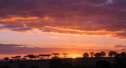 Golden Hour Sunset, Glowing Clouds & Silhouetted Trees with Orange Magenta Sky