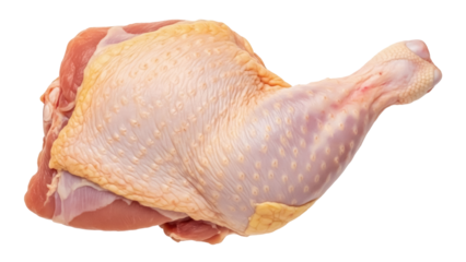 Raw chicken leg quarter isolated PNG on transparent background, poultry meat for cooking and food preparation