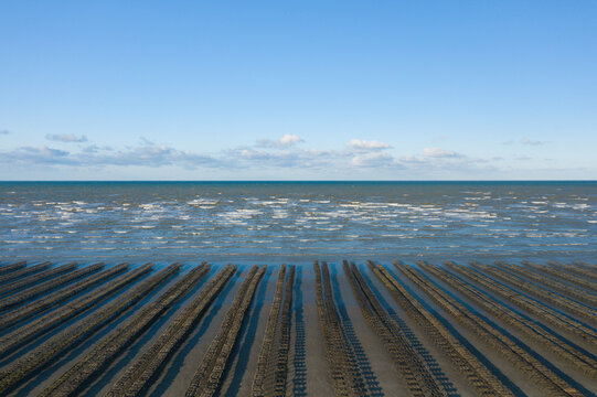 Long rows of oyster racks stretch across wet sand at low tide on Utah Beach, facing gentle waves and a bright blue sky. The scene is open and minimal, with rhythmic patterns and a sense of calm along