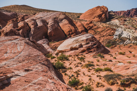 View of fiery red sandstone formations sculpted by time under a clear sky, contrasting with sparse desert vegetation in Valley of Fire State Park, Overton, Nevada, United States.
