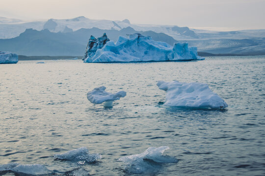 View of luminous icebergs drifting serenely in the glacial lagoon, reflecting the soft light under the expansive sky, Jokulsarlon Glacier Lagoon, Hofn, Vatnajokull, Iceland.