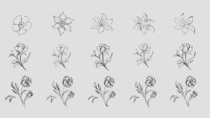 Set of 16 minimalist flower line art illustrations