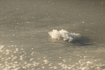Close-up of Delicate Hoar Frost Crystals on a Frozen Surface