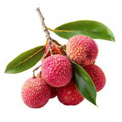 Vibrant Ripe Lychees with Fresh Green Leaves on Branch isolated on transparent background
