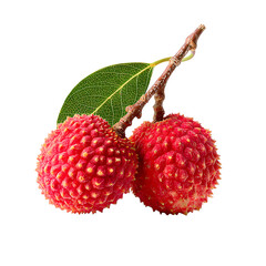 Vibrant Ripe Lychees with Fresh Green Leaves on Branch isolated on transparent background