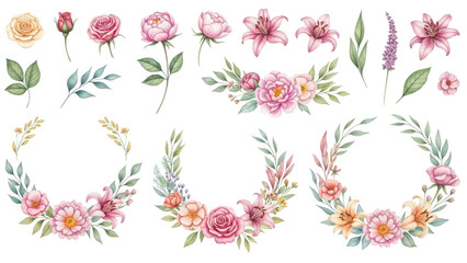 Floral elements collection, watercolor flower set