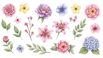 Floral elements collection, watercolor flower set